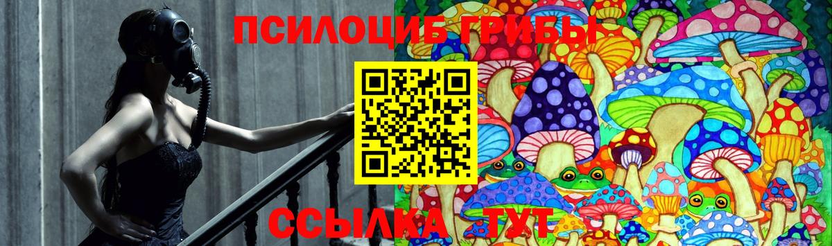 Псилоцибиновые грибы Psilocybine cubensis Королёв