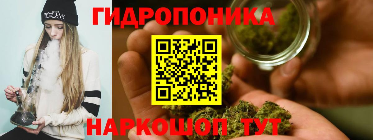 Королёв  Бошки Шишки сатива  Вход с VPN  МАРИХУАНА Bruce Banner 